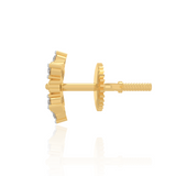 Akshiney Diamond Earrings