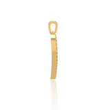 Visha Diamond Pendant