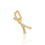 Cancer Star Constellation
