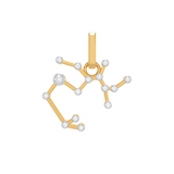 Sagitarius Star Constellation