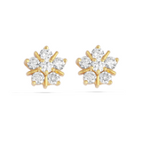 Elakshi Diamond Earring